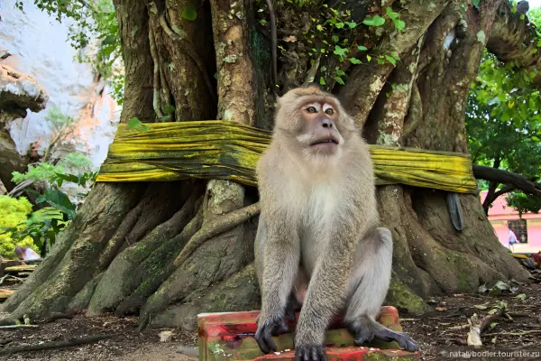 Рафтинг-приключение – для любителей активного отдыха