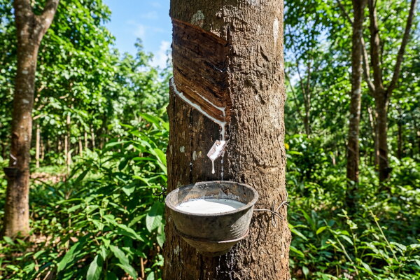 Будда шопинг-тур - шопинг на Пхукете с посещением Большого Будды