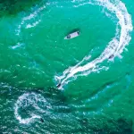 Тур на гидроциклах Jet Ski club – Комфорт