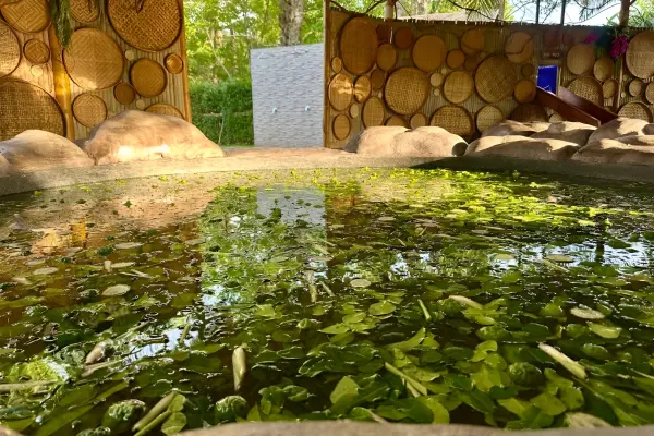 Экскурсии на острова Джеймса Бонда с отдыхом в эко-SPA