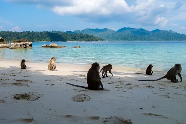 Острова Пхи-Пхи и Джеймс Бонд за один день на спидботе