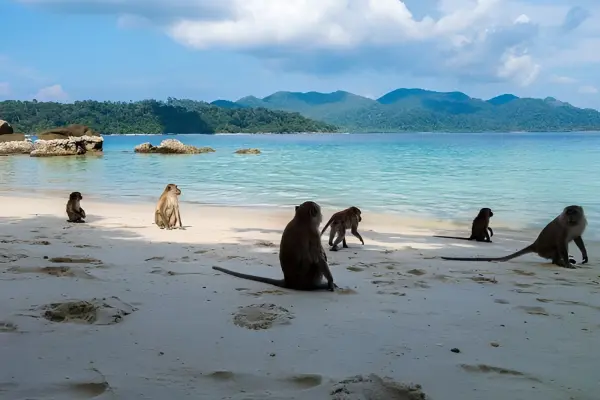 Острова Пхи-Пхи и Джеймс Бонд за один день на спидботе