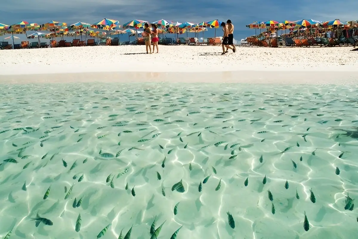 Острова Пхи-Пхи и остров Кай – морская экскурсия на спидботе