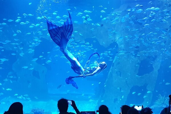 Океанариум Аквария на Пхукете