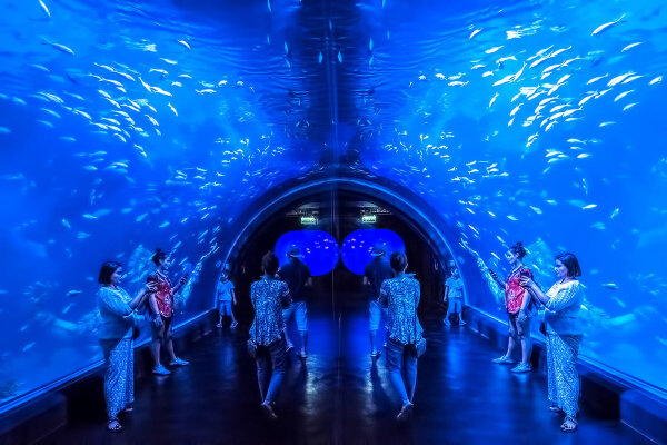 Океанариум Аквария на Пхукете