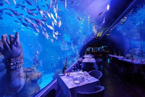 Океанариум Аквария на Пхукете