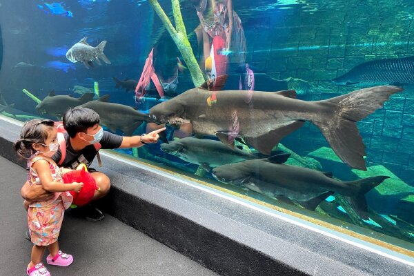 Океанариум Аквария на Пхукете