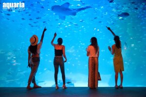 Океанариум Аквария на Пхукете