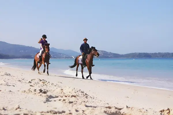 Катание на лошадях на Пхукете – прогулка верхом по пляжу