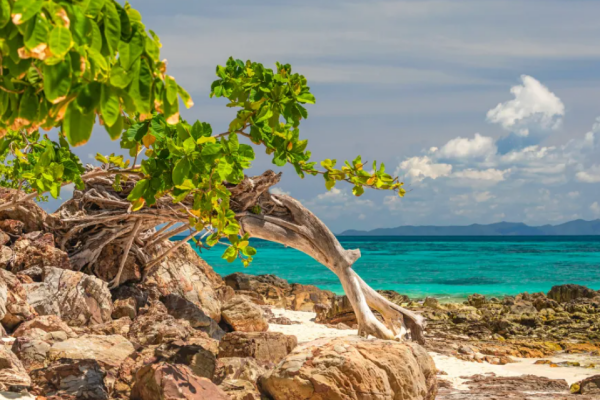 Экскурсия на острова Пхи-Пхи и Бамбу из Као Лака