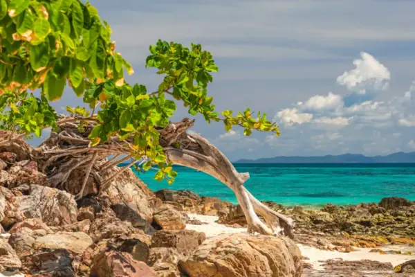 Экскурсия на острова Пхи-Пхи и Бамбу из Као Лака