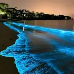 Сияние Андамана - сияющий планктон, каноэ на закате и панорамы Пханг Нга