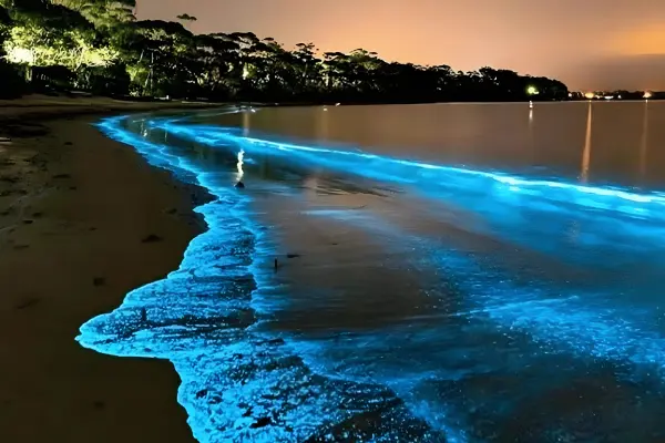 Сияние Андамана - сияющий планктон, каноэ на закате и панорамы Пханг Нга