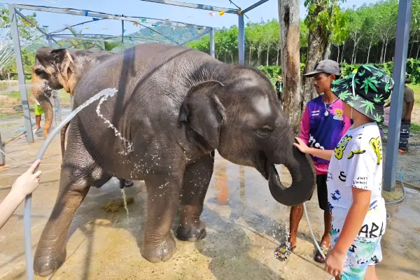 Природа и Нирвана - Белый храм, слоны, деревня Каренов и релакс в спа