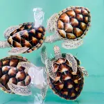 Као Лак Сафари из Као Лака: слоны, черепахи и бамбуковые плоты