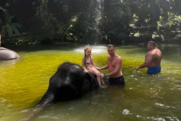 Као Лак Сафари из Као Лака: слоны, черепахи и бамбуковые плоты