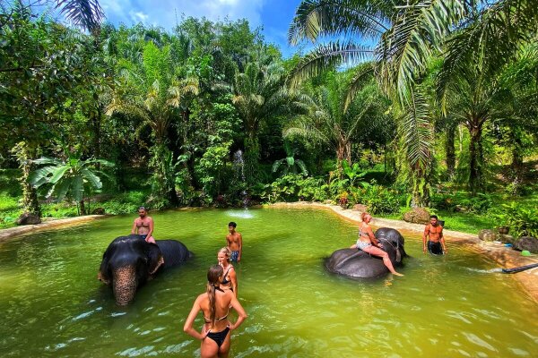 Као Лак Сафари из Као Лака: слоны, черепахи и бамбуковые плоты