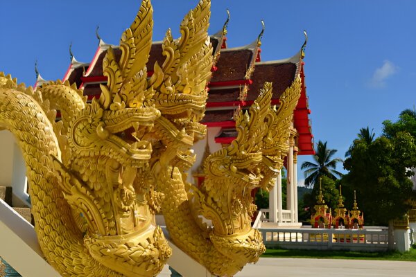 Топ-5 локаций из Као Лака: храм, водопад, Samet Nangshe, пещерная река и кафе с оленями