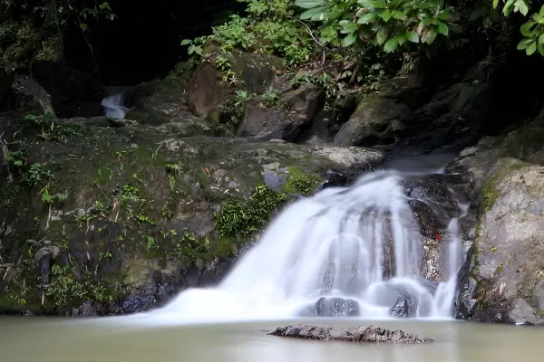 Топ-5 локаций из Као Лака: храм, водопад, Sky Walk, пещерная река и контактный зоопарк