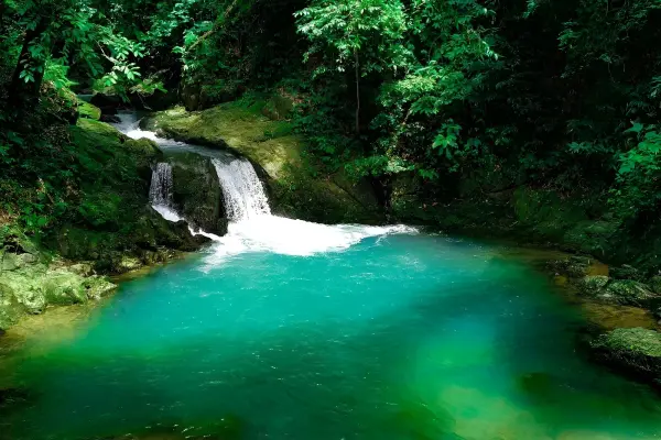 Топ-5 локаций из Као Лака: храм, водопад, Sky Walk, пещерная река и контактный зоопарк