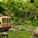 Safari World: индивидуальный тур из Бангкока