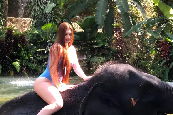 Экскурсия в Као Лак - водопады и природа Таиланда