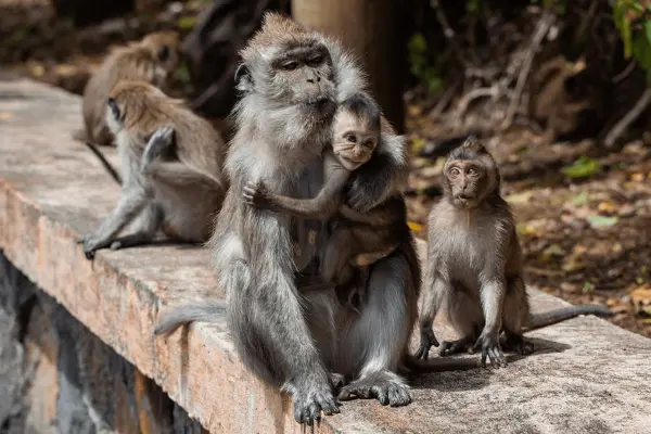 Экскурсия в Као Лак - водопады и природа Таиланда