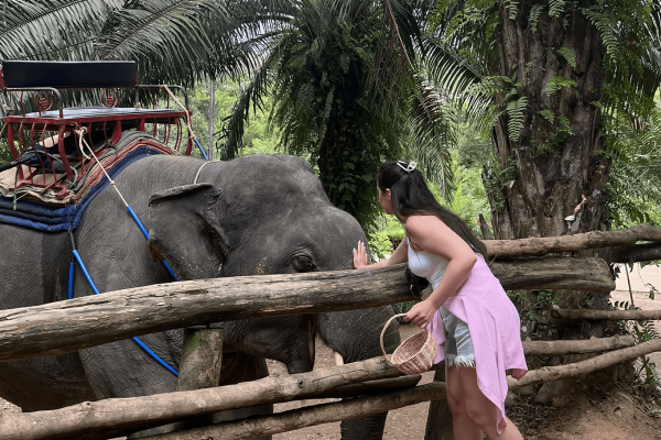 Экскурсия в Као Лак - водопады и природа Таиланда