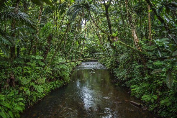Водопады Амазонии - экскурсия по водопадам Као Лака Таиланд