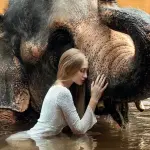 Водопады Амазонии - экскурсия по водопадам Као Лака Таиланд