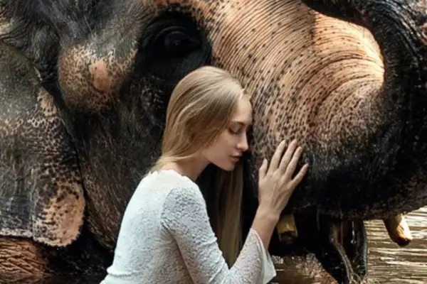 Amazon Waterfalls - Khao Lak Thailand Waterfalls Tour