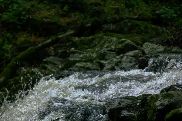 Водопады Амазонии - экскурсия по водопадам Као Лака Таиланд
