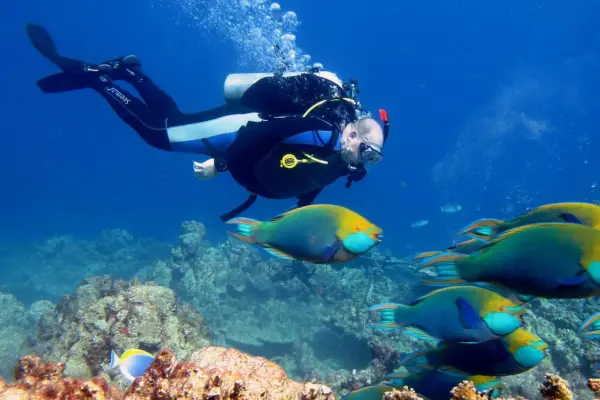 Дайвинг у острова Рача Яй – дайвинг на Пхукете для новичков