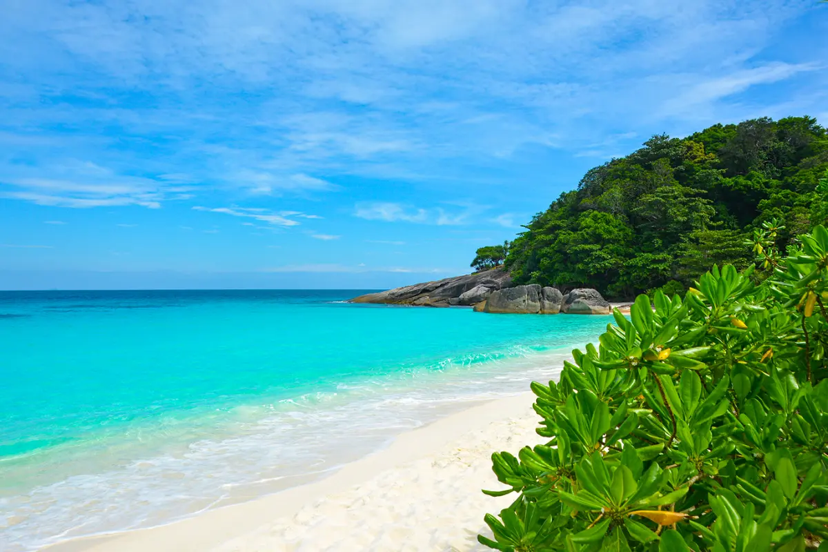 Симиланы 7 - экскурсия на Симиланские острова c ранним выездом