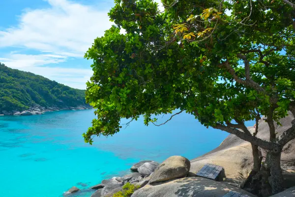 Симиланы 7 - экскурсия на Симиланские острова c ранним выездом