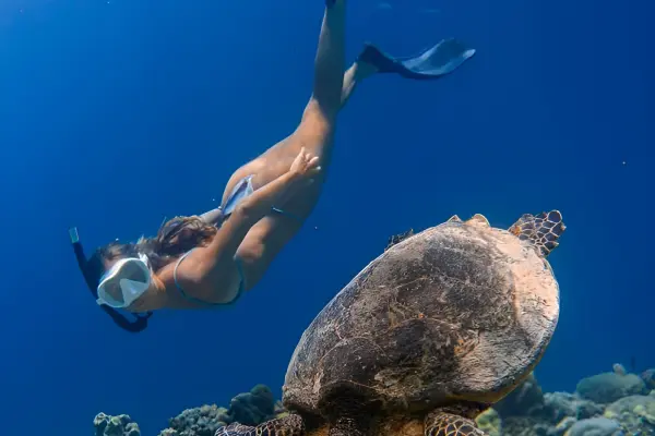 Симиланские острова – классический однодневный маршрут на спидботе