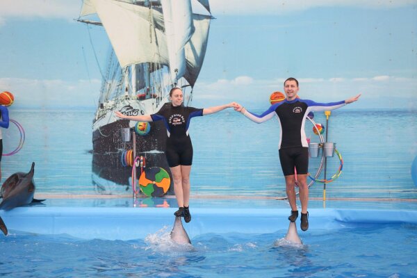 Дельфинарий на Пхукете – шоу дельфинов для всей семьи