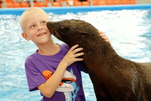 Дельфинарий на Пхукете – шоу дельфинов для всей семьи
