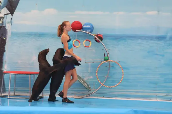 Дельфинарий на Пхукете – шоу дельфинов для всей семьи