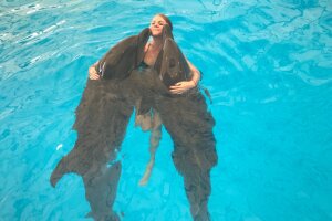 Плавание с дельфинами на Пхукете