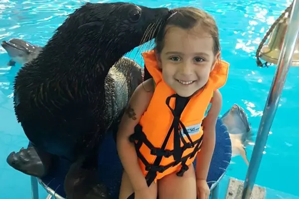 Плавание с дельфинами на Пхукете