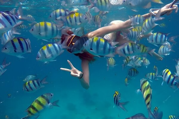 Пхи-Пхи – стандартная двухдневная программа, отдых на островах, снорклинг и пляжная вечеринка