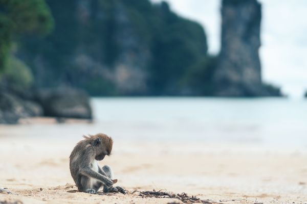 Андаманский рассвет - острова Пхи-Пхи, Краби, Джеймса Бонда с ночевкой на Пхи-Пхи