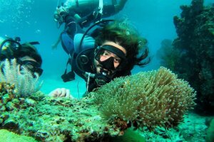 Дайвинг на Пхи-Пхи – дайвинг на Пхукете для сертифицированных дайверов