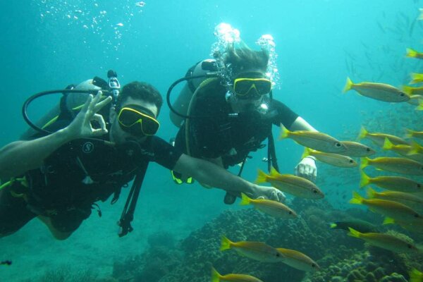 Дайвинг на Пхи-Пхи – дайвинг на Пхукете для сертифицированных дайверов