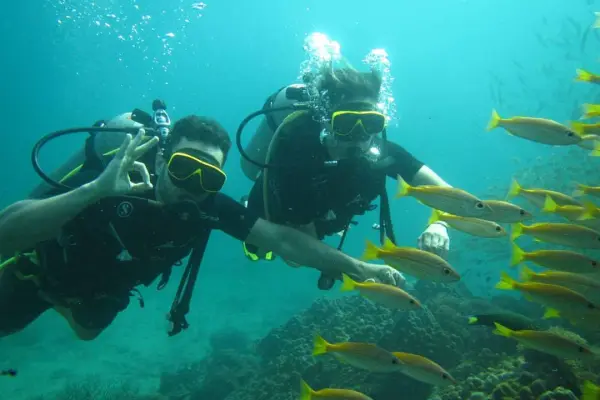 Дайвинг на Пхи-Пхи – дайвинг на Пхукете для сертифицированных дайверов