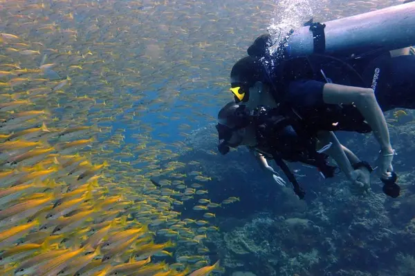 Дайвинг на Пхи-Пхи – дайвинг на Пхукете для сертифицированных дайверов