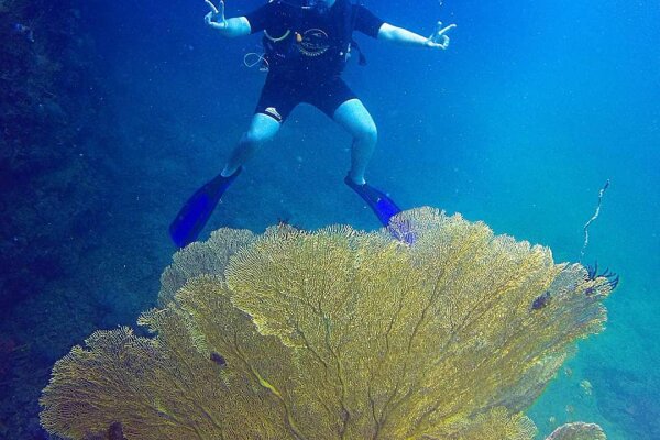 Дайвинг на Пхи-Пхи – дайвинг на Пхукете для сертифицированных дайверов