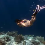 Diving in Phi Phi – Diving in Phuket for Certified Divers