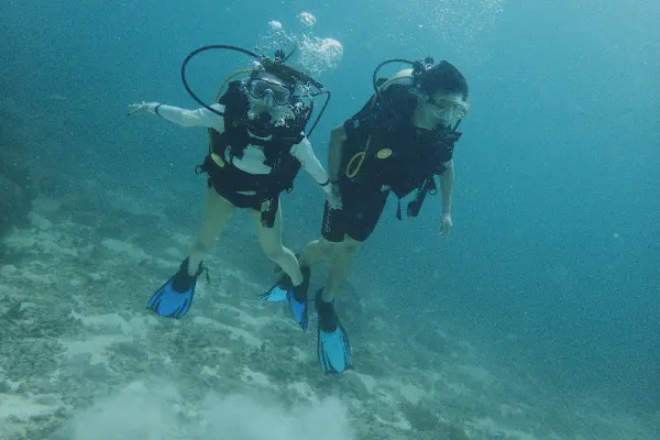 Дайвинг у островов Рача Яй и Ной